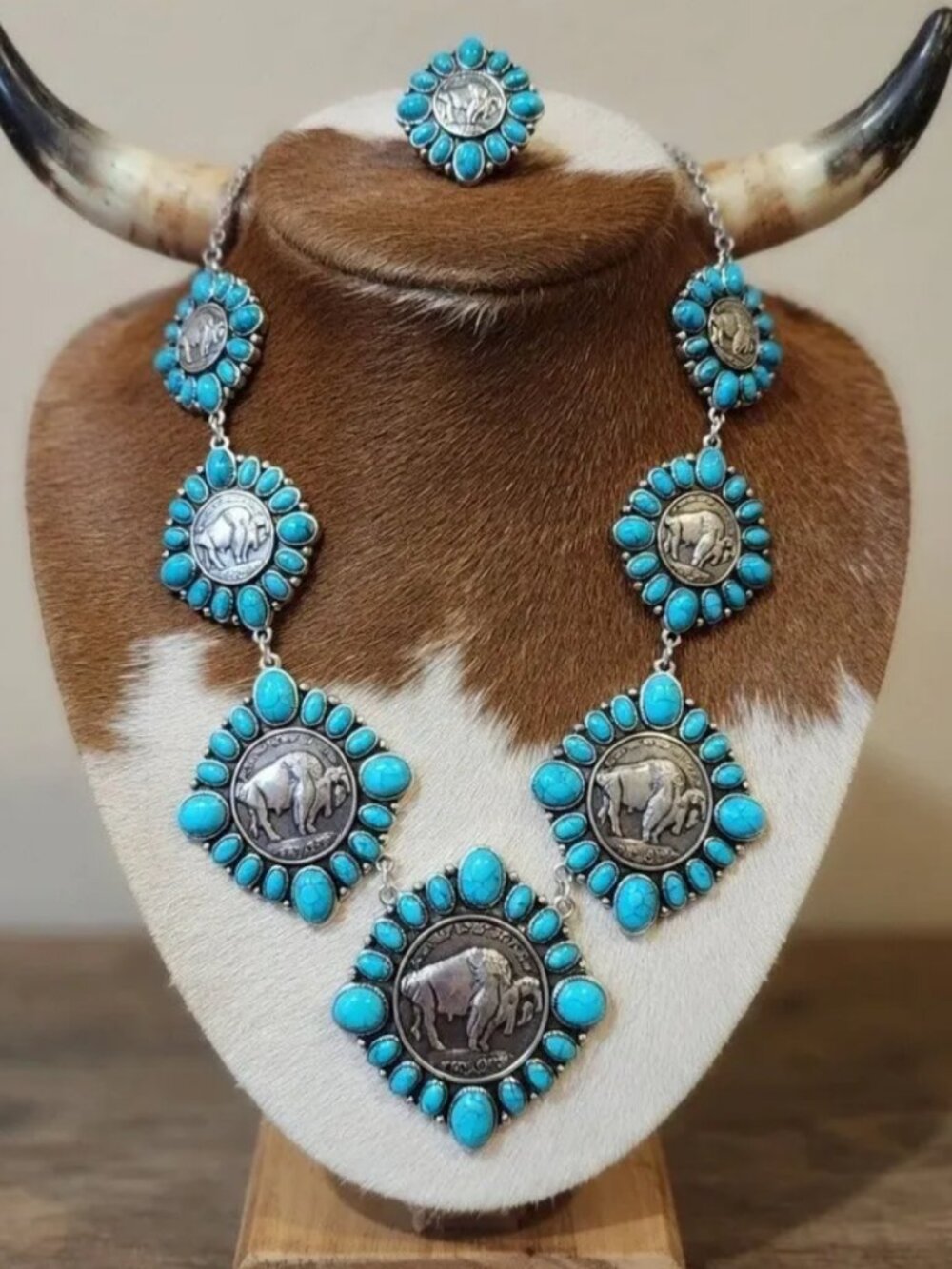 ✨ Western Buffalo Coin Statement Set